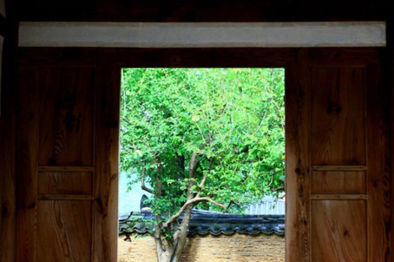 Andong Hahoe Folk Village [UNESCO World Heritage]  (17/83)