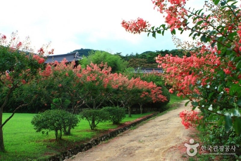 Andong Hahoe Folk Village [UNESCO World Heritage]  (37/83)