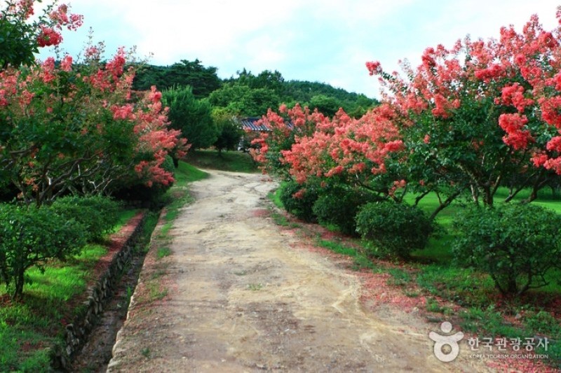 Andong Hahoe Folk Village [UNESCO World Heritage]  (38/83)