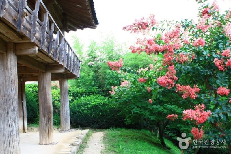 Andong Hahoe Folk Village [UNESCO World Heritage]  (42/83)
