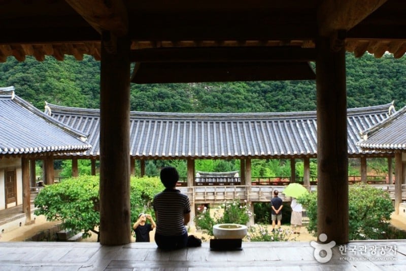 Andong Hahoe Folk Village [UNESCO World Heritage]  (45/83)