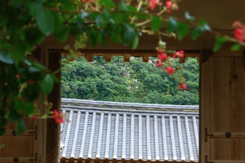 Andong Hahoe Folk Village [UNESCO World Heritage]  (46/83)