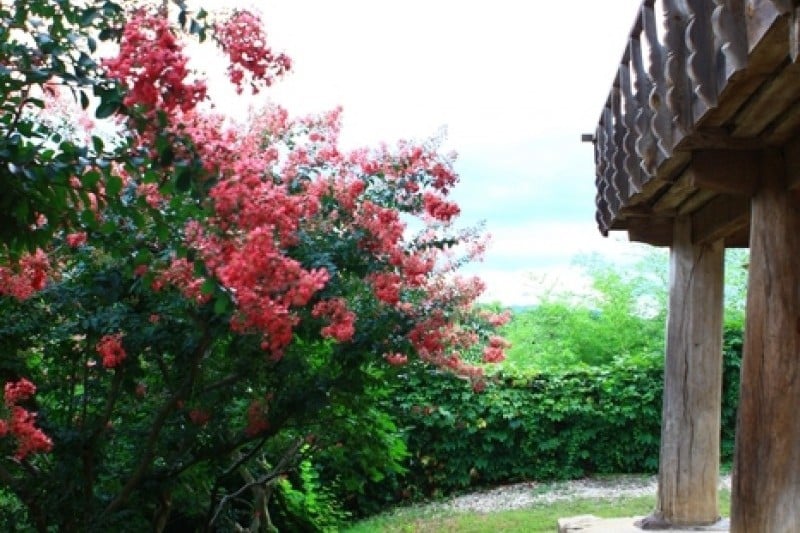 Andong Hahoe Folk Village [UNESCO World Heritage]  (48/83)