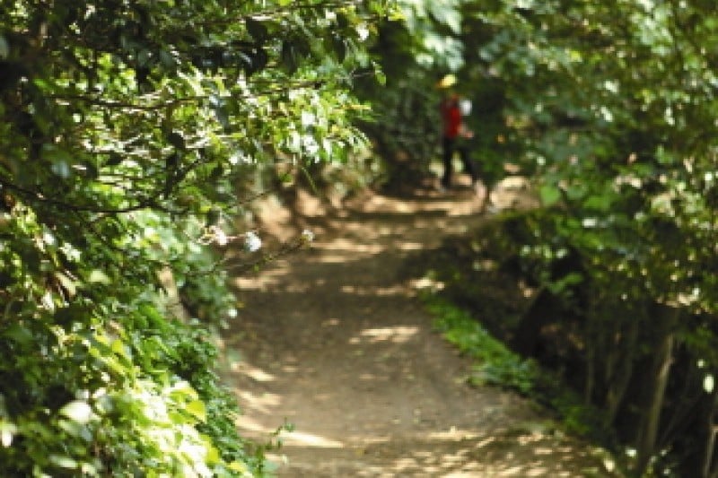 Ulleungdo Island  (1/7)