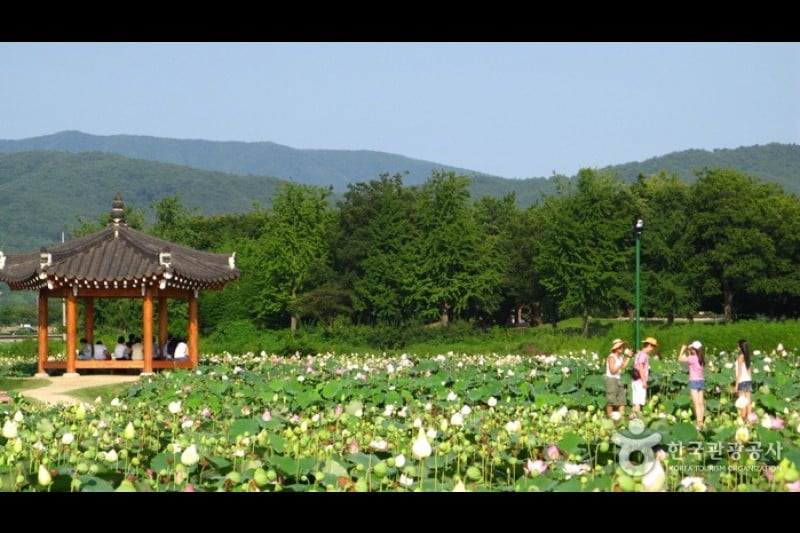 Gyeongju Donggung Palace and Wolji Pond  (20/24)