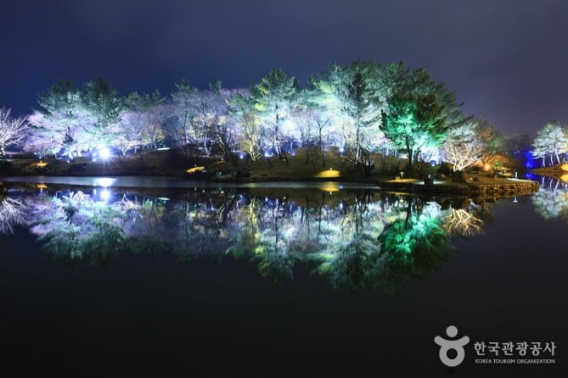Gyeongju Donggung Palace and Wolji Pond  (23/24)