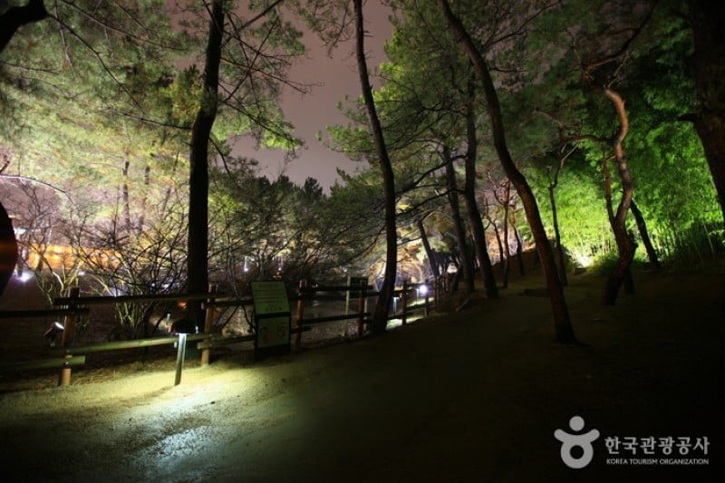 Gyeongju Donggung Palace and Wolji Pond  (24/24)
