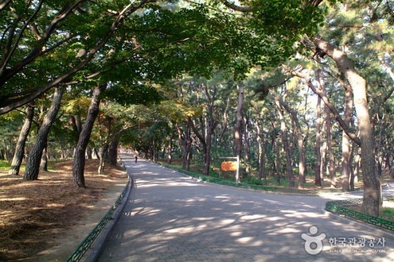 Daereungwon Tomb Complex  (5/11)