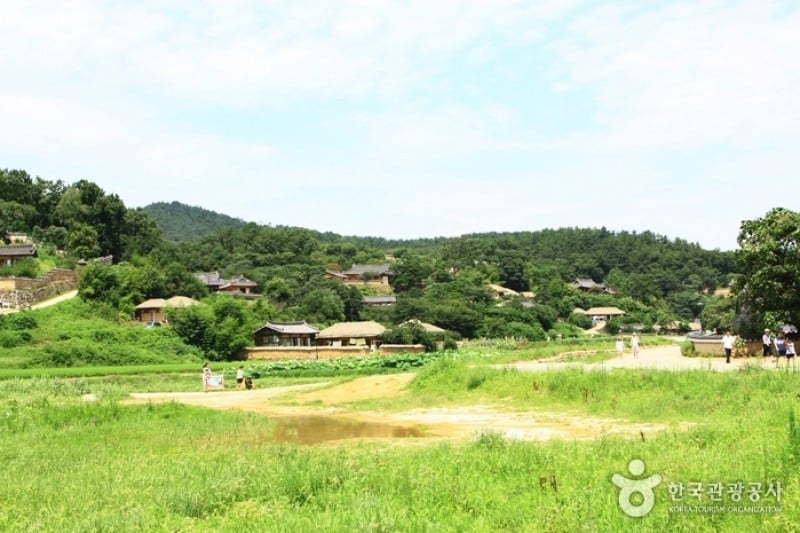 Gyeongju Yangdong Village [UNESCO World Heritage]  (1/45)