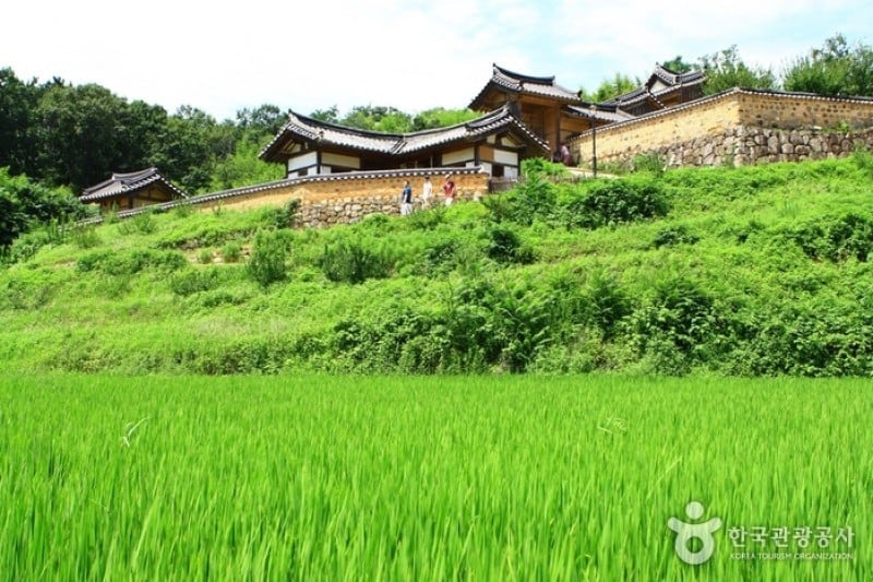 Gyeongju Yangdong Village [UNESCO World Heritage]  (7/45)