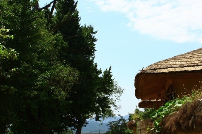 Gyeongju Yangdong Village [UNESCO World Heritage]  (11/45)