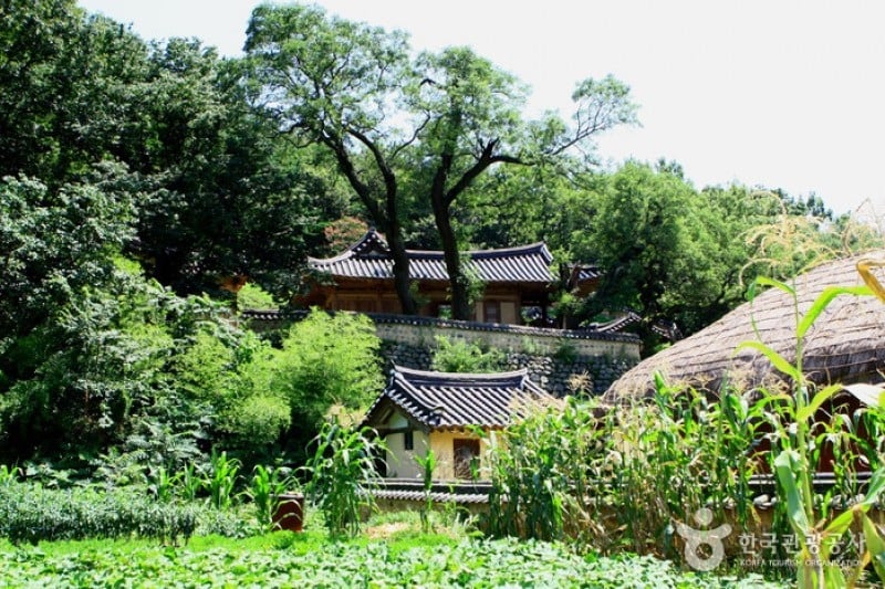 Gyeongju Yangdong Village [UNESCO World Heritage]  (21/45)