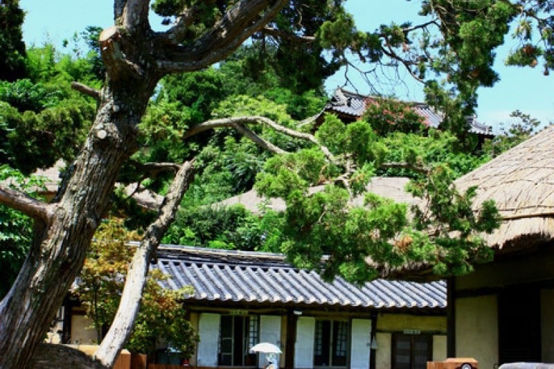 Gyeongju Yangdong Village [UNESCO World Heritage]  (24/45)
