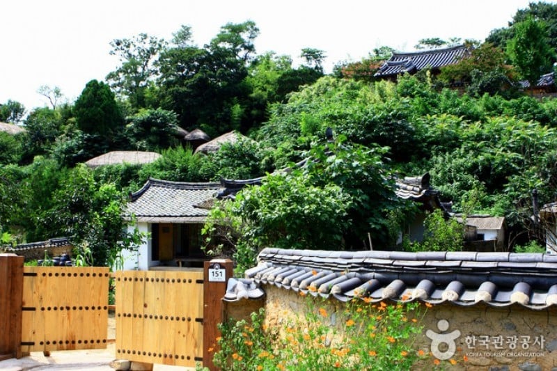 Gyeongju Yangdong Village [UNESCO World Heritage]  (37/45)