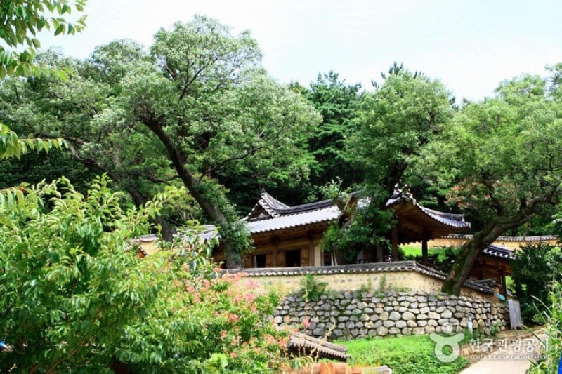 Gyeongju Yangdong Village [UNESCO World Heritage]  (39/45)