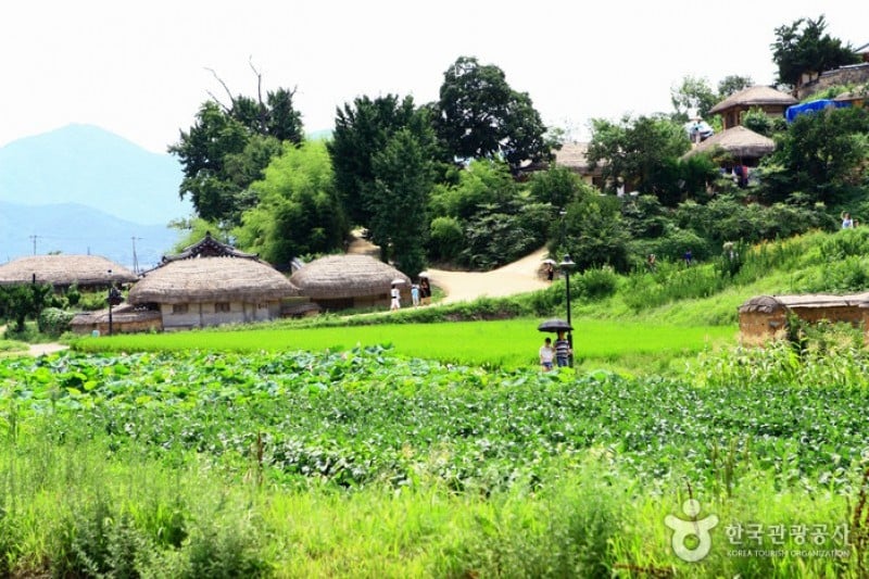 Gyeongju Yangdong Village [UNESCO World Heritage]  (40/45)
