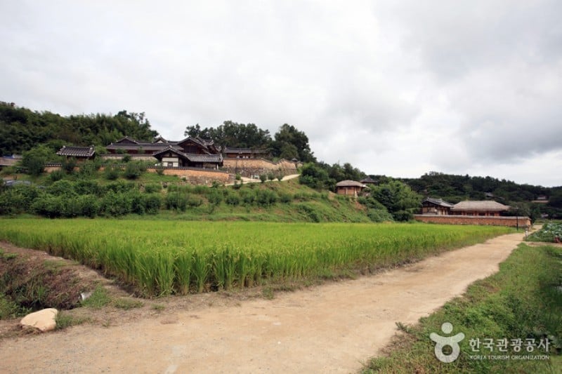 Gyeongju Yangdong Village [UNESCO World Heritage]  (41/45)