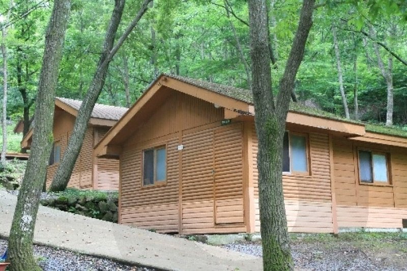 Tohamsan Recreational Forest (토함산자연휴양림) (7/11)
