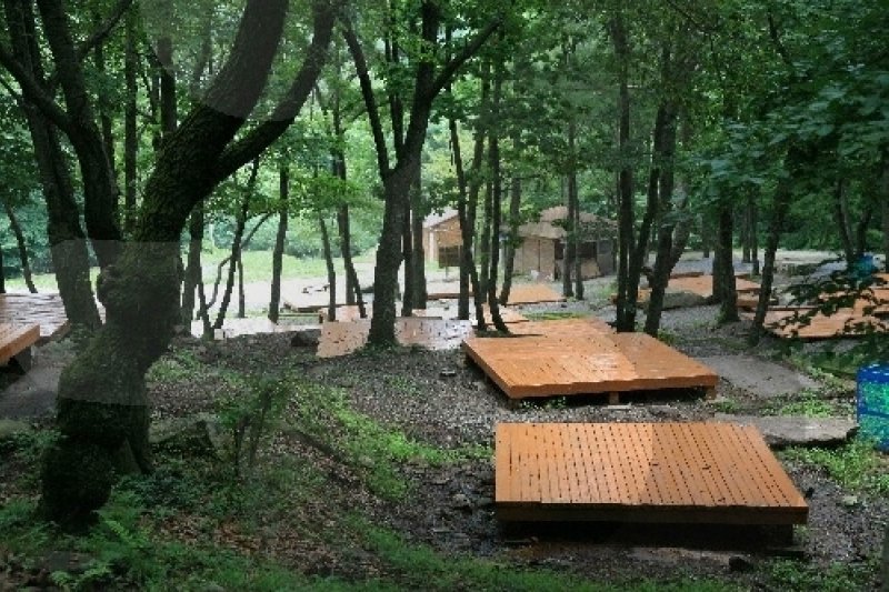 Tohamsan Recreational Forest (토함산자연휴양림) (11/11)
