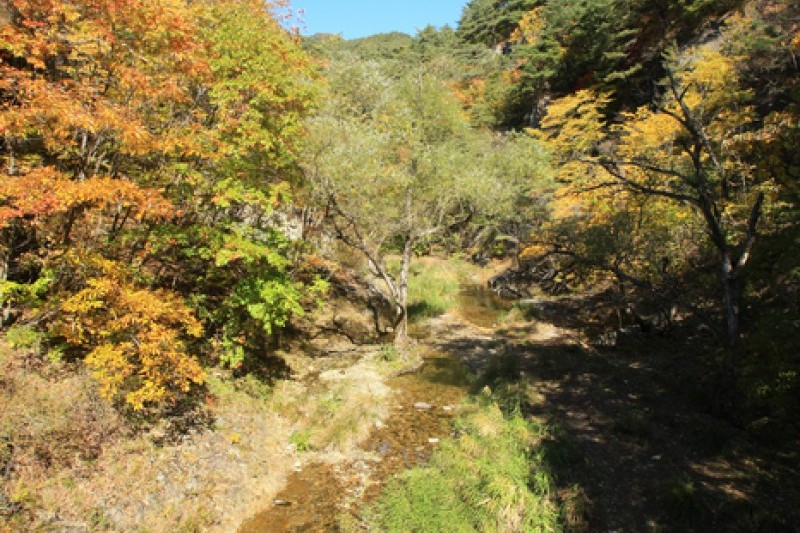 Juwangsan National Park  (14/37)