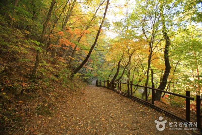 Juwangsan National Park  (16/37)