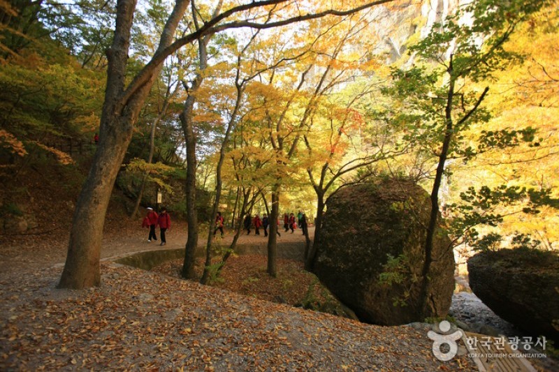 Juwangsan National Park  (20/37)