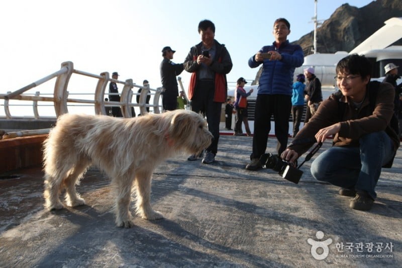 Dokdo Island  (1/20)