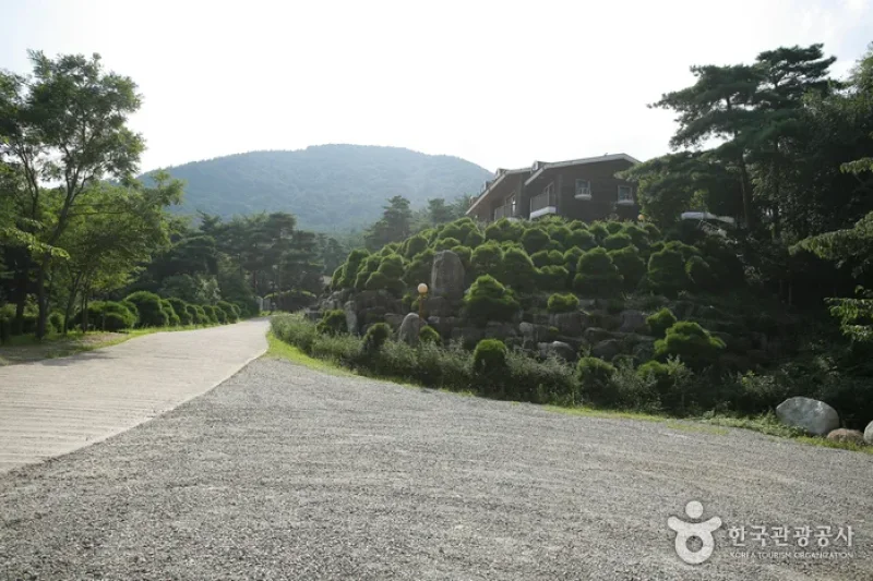 Chilbosan Mountain Natural Recreation Forest  (4/13)