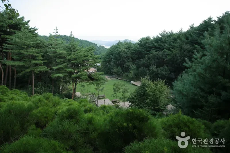 Chilbosan Mountain Natural Recreation Forest  (5/13)