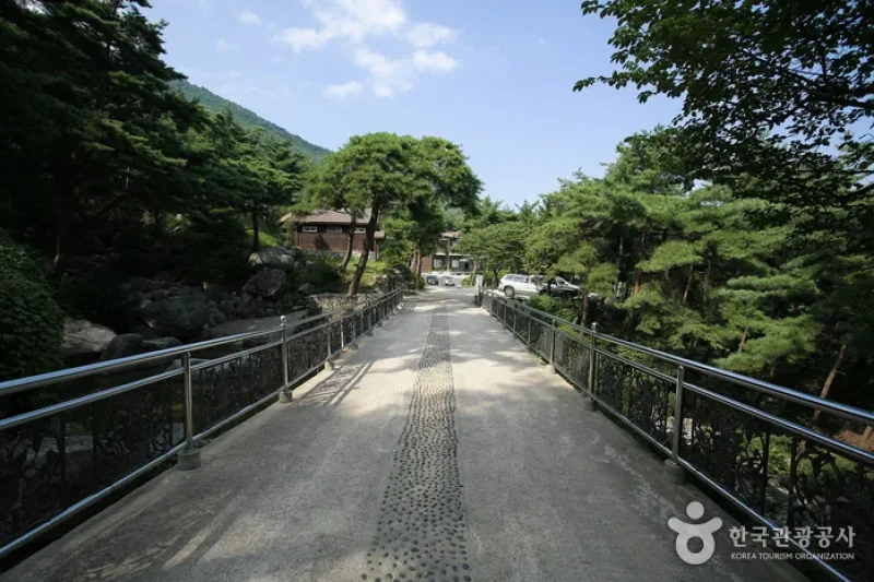 Chilbosan Mountain Natural Recreation Forest  (6/13)