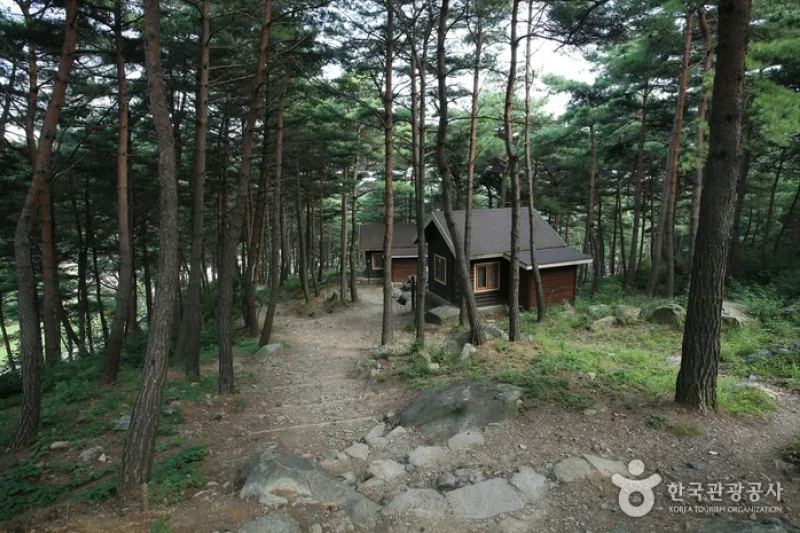 Chilbosan Mountain Natural Recreation Forest  (7/13)