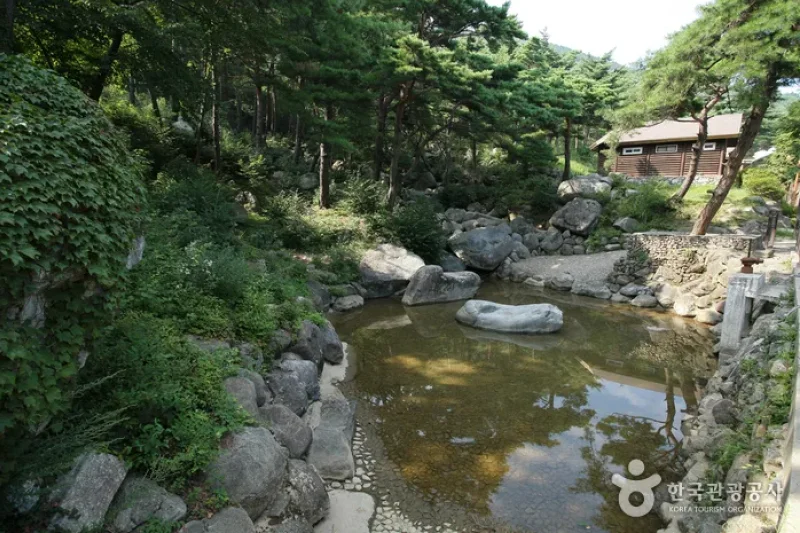 Chilbosan Mountain Natural Recreation Forest  (8/13)