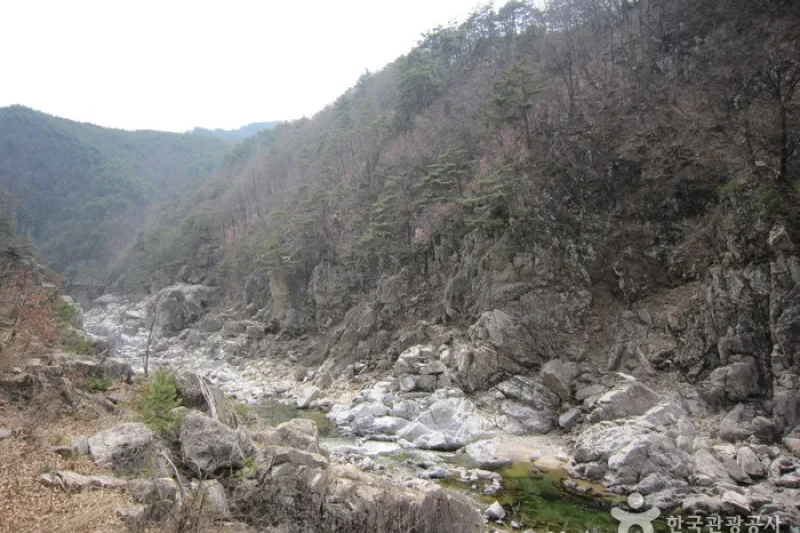 Wangpicheon Valley (왕피천계곡) (2/13)