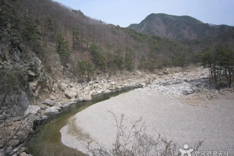 Wangpicheon Valley (왕피천계곡) (4/13)