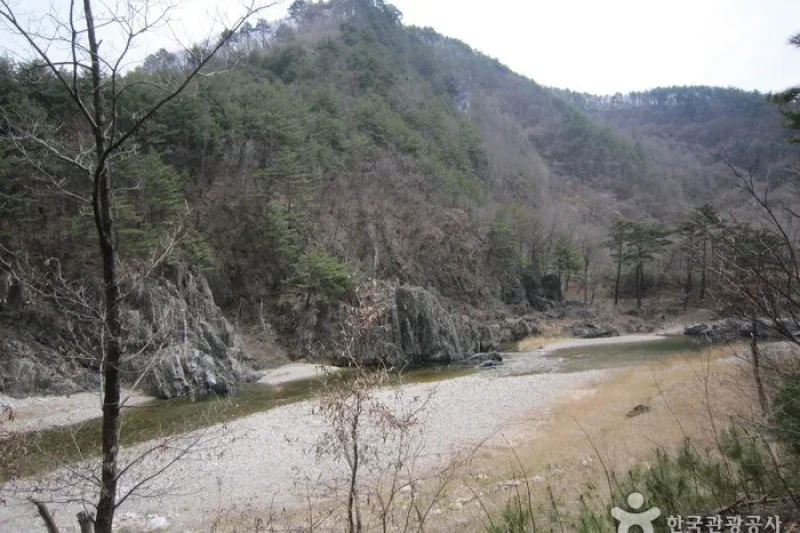 Wangpicheon Valley (왕피천계곡) (5/13)