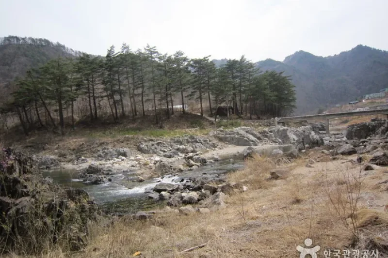 Wangpicheon Valley (왕피천계곡) (6/13)