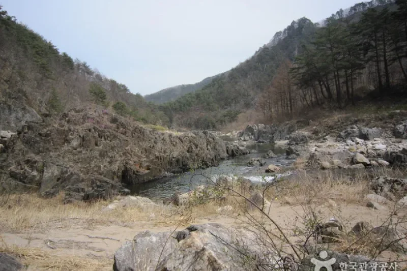 Wangpicheon Valley (왕피천계곡) (7/13)