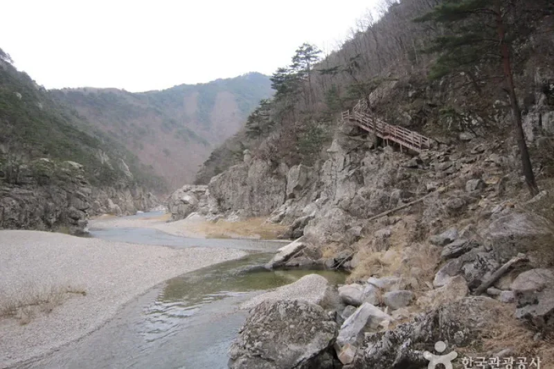 Wangpicheon Valley (왕피천계곡) (11/13)