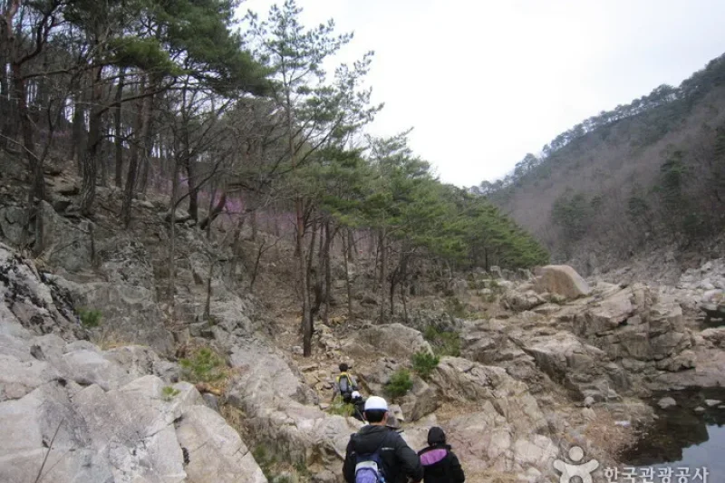 Wangpicheon Valley (왕피천계곡) (12/13)