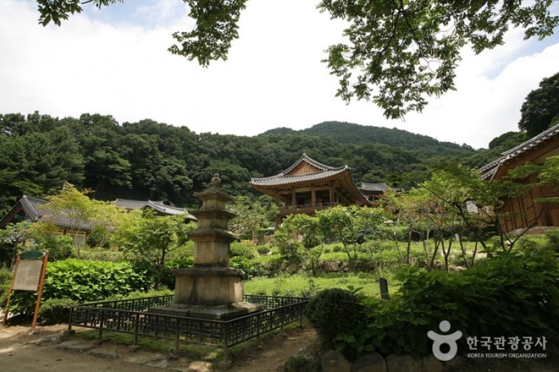 Buseoksa Temple  (6/19)