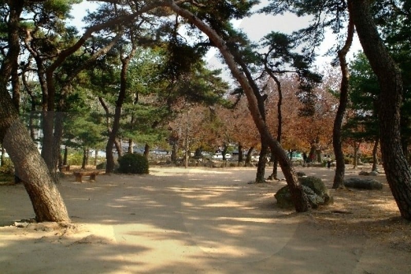 Gyeongju Poseokjeongji  (11/12)