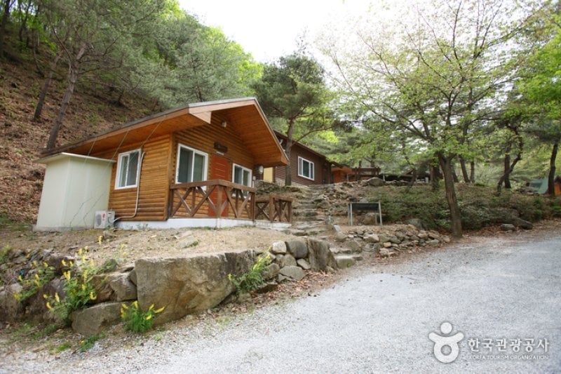 Buljeong Recreational Forest  (3/10)