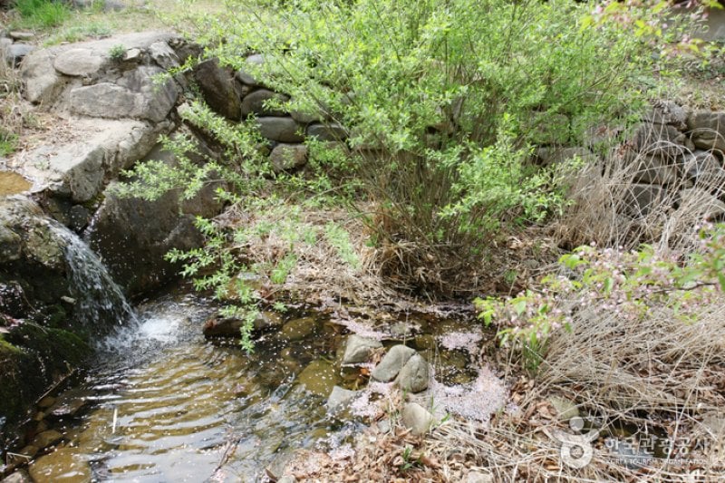 Buljeong Recreational Forest  (4/10)