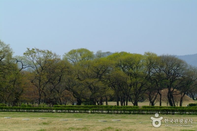 Gyeongju Historic Area [UNESCO World Heritage]  (2/5)