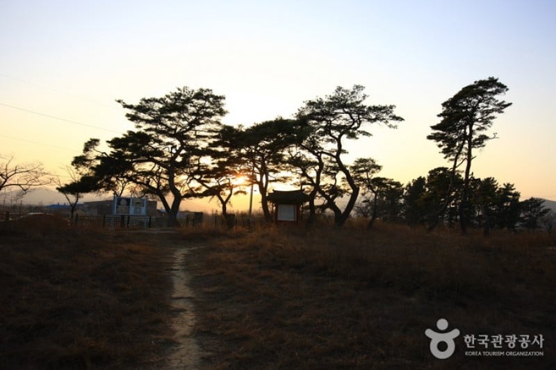Gyeongju Historic Area [UNESCO World Heritage]  (4/5)