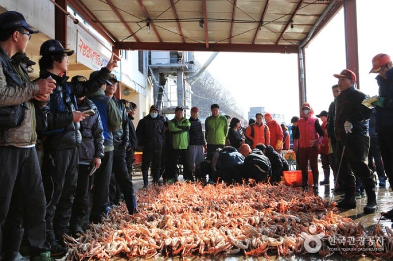 Yeongdeok Snow Crab Festival  (2/3)