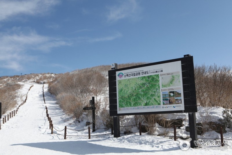 Sobaeksan National Park  (6/25)