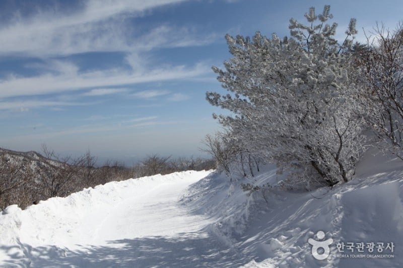 Sobaeksan National Park  (8/25)