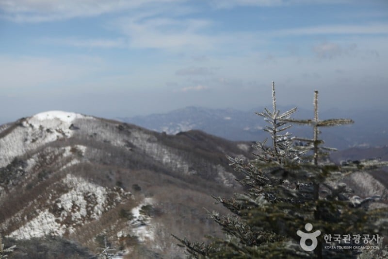 Sobaeksan National Park  (10/25)