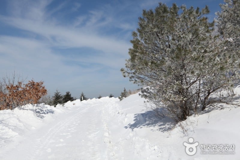 Sobaeksan National Park  (12/25)